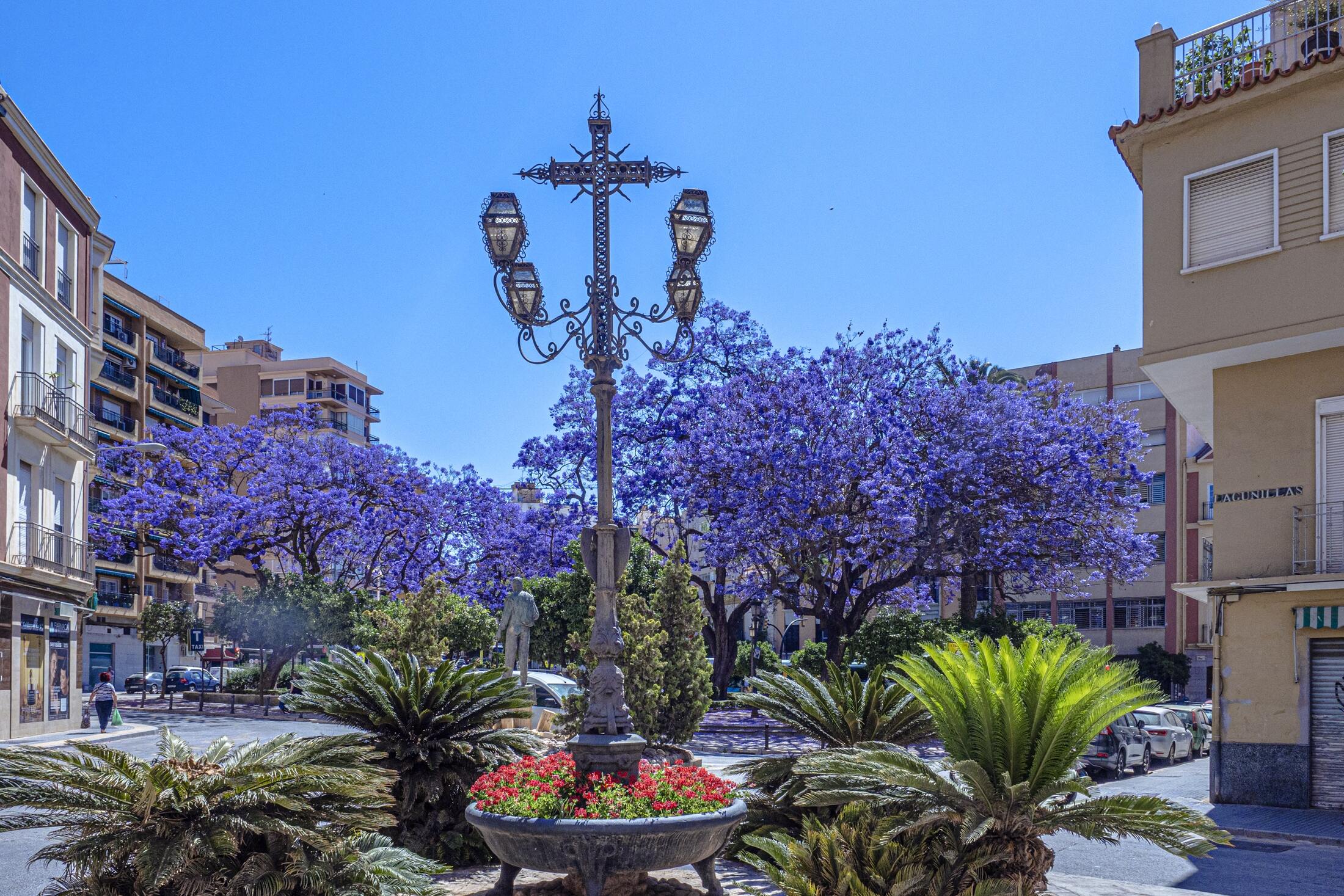 Plaza con jacarandas junto a la vivienda